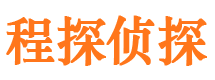 东坡侦探